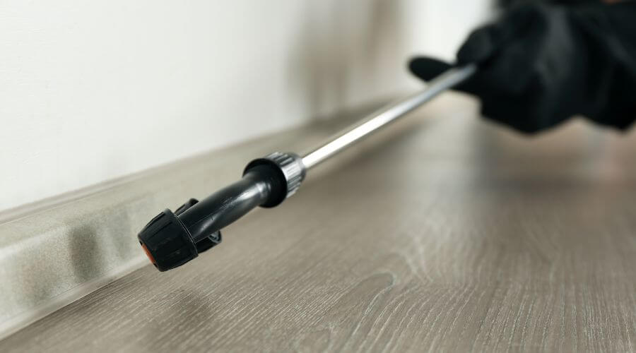 Professional pest control services services in Staten Island - Best In Pest Extermination